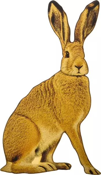 100 Francs Kongo Wildlife in Golden Shapes Hase 2025