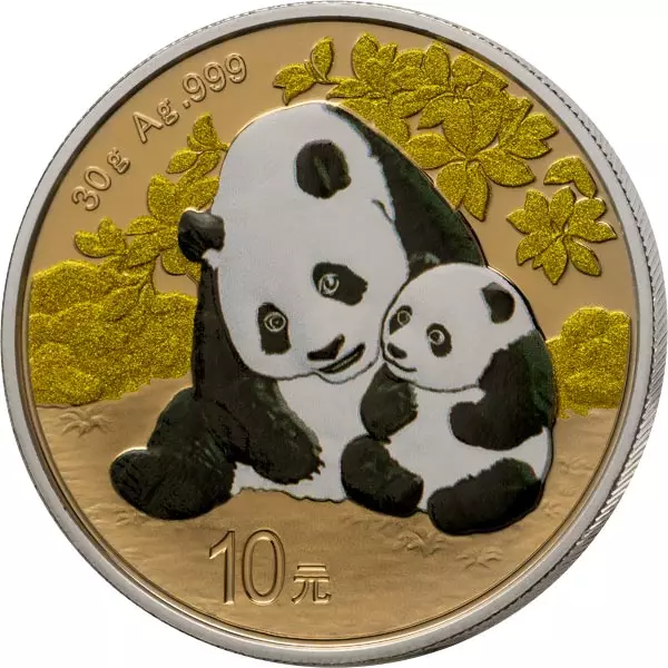 10 Yuan China Premium Panda Selection 2024 mit Platin- und Goldapplikation