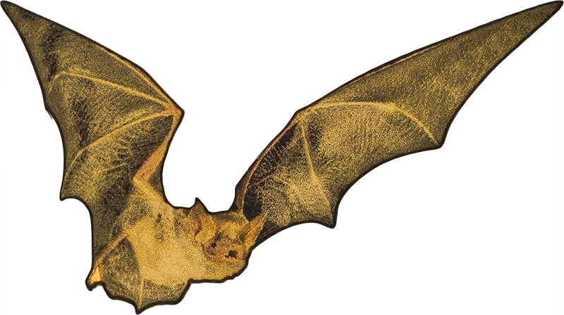 100 Francs Kongo Wildlife in Golden Shapes Fledermaus 2025 100 Francs Kongo Wildlife in Golden Shapes Fledermaus 2025