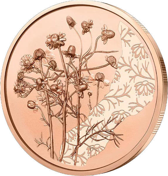 10 Euro Österreich Mit der Sprache der Blumen - Kamille 2023