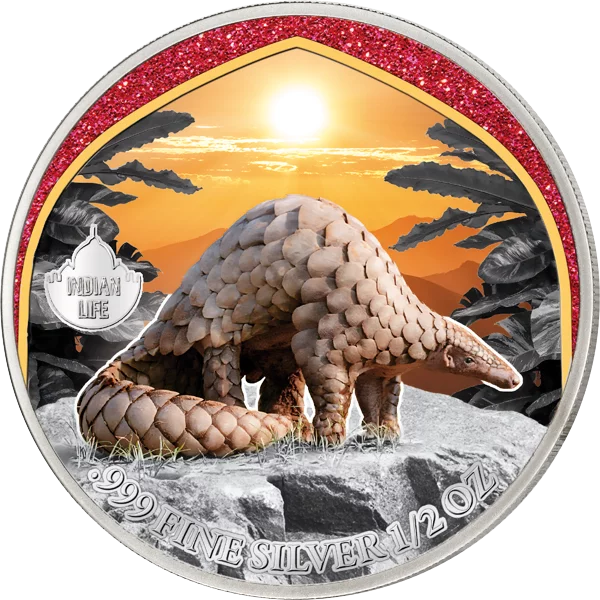 Komplettalbum Mysterious Rhodium Indian Life 2024