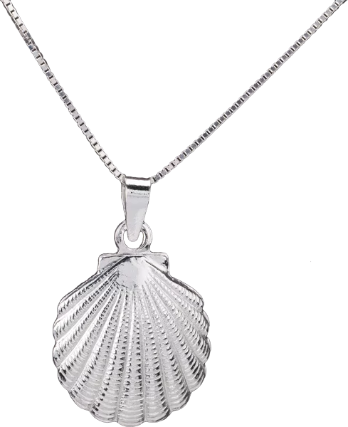 Kette mit Muschelanhänger