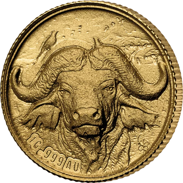 5 x 100 Francs Elfenbeinküste Big Five Africa 2022 5 x 100 Francs Elfenbeinküste Big Five Africa 2022