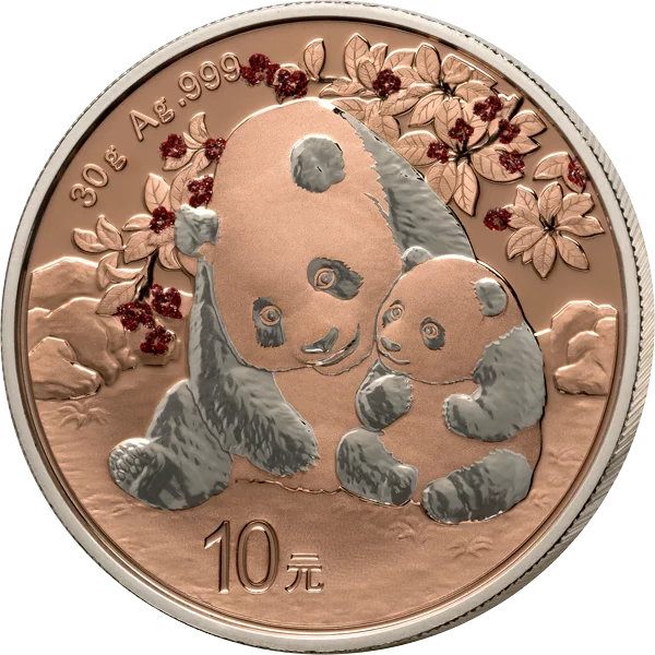 10 Yuan China Premium Panda Selection 2024 mit Gold-Applikation und Edelstein