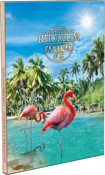Album Mysterious Rhodium - Caribbean Life