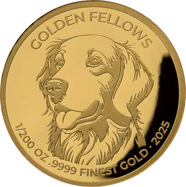 Gold-Kollektion: Golden Fellows
