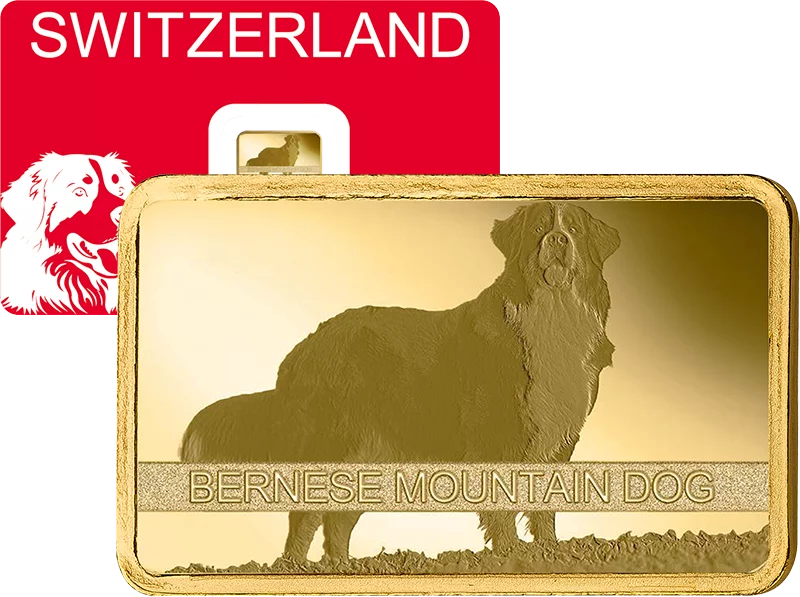 1 Gramm Goldbarren Schweiz Bernese Mountain Dog