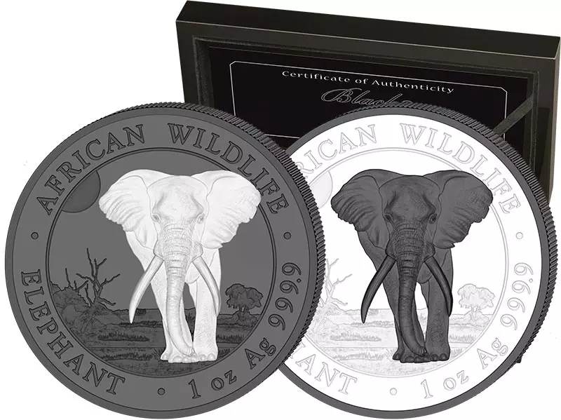 2 x 100 Shillings Somalia Elefant Black & White 2025