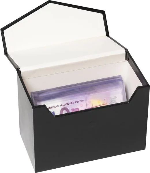 Archivbox Logik Mini C6 mit Klappdeckel und Magnetverschluss
