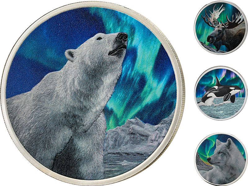 Kollektion: Polar Glow