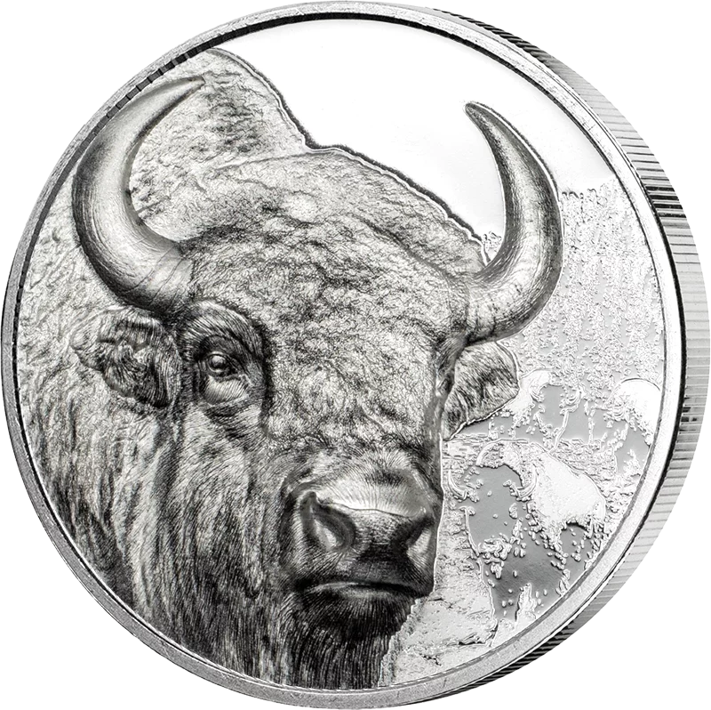 500 Togrog Mongolei Bison 2025 500 Togrog Mongolei Bison 2025