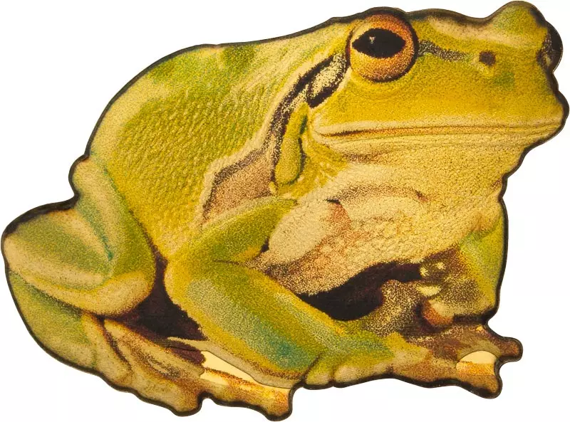 100 Francs Kongo Wildlife in Golden Shapes Laubfrosch 2025