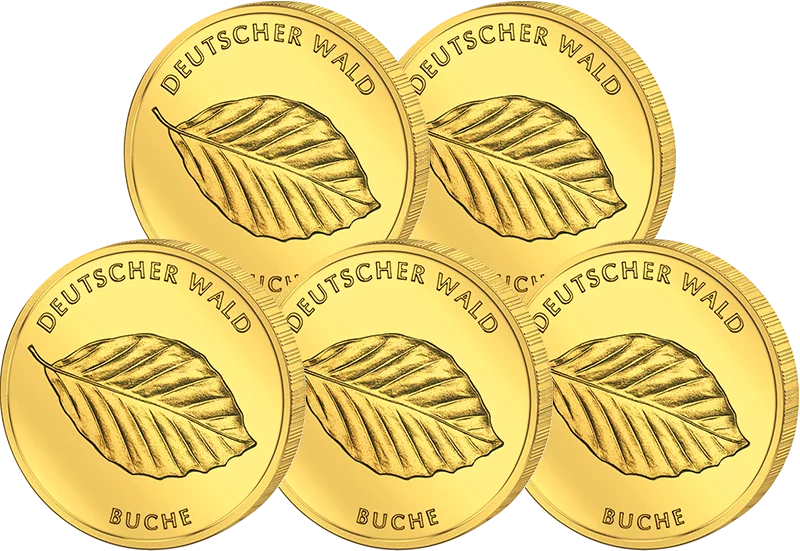 5x20 Euro BRD Deutscher Wald Buche 2011 vorzüglich bis Stempelglanz (A - J)