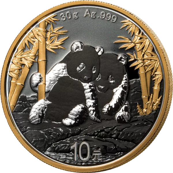 2 x 10 Yuan China Panda 2026 Golden Enigma Premium Edition Yin & Yang