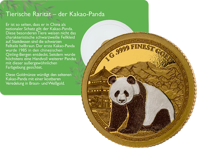 50 Tala Samoa Brown Panda 2025