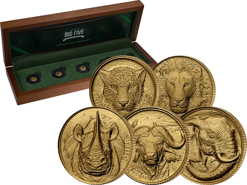 5 x 100 Francs Elfenbeinküste Big Five Africa 2022 5 x 100 Francs Elfenbeinküste Big Five Africa 2022