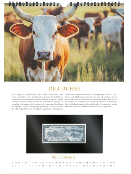 Banknotenkalender Tiere 2026