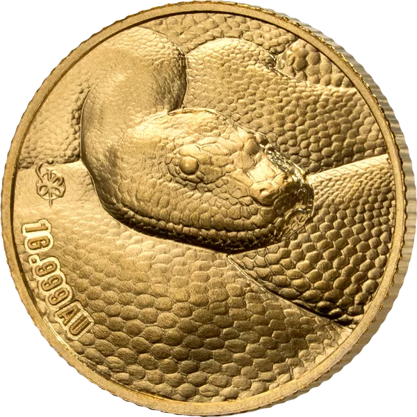 5 x 100 Francs Elfenbeinküste Big Five South America 2026