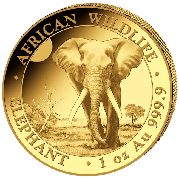 1 Unze Gold Somalia African Wildlife - Elefant 2025