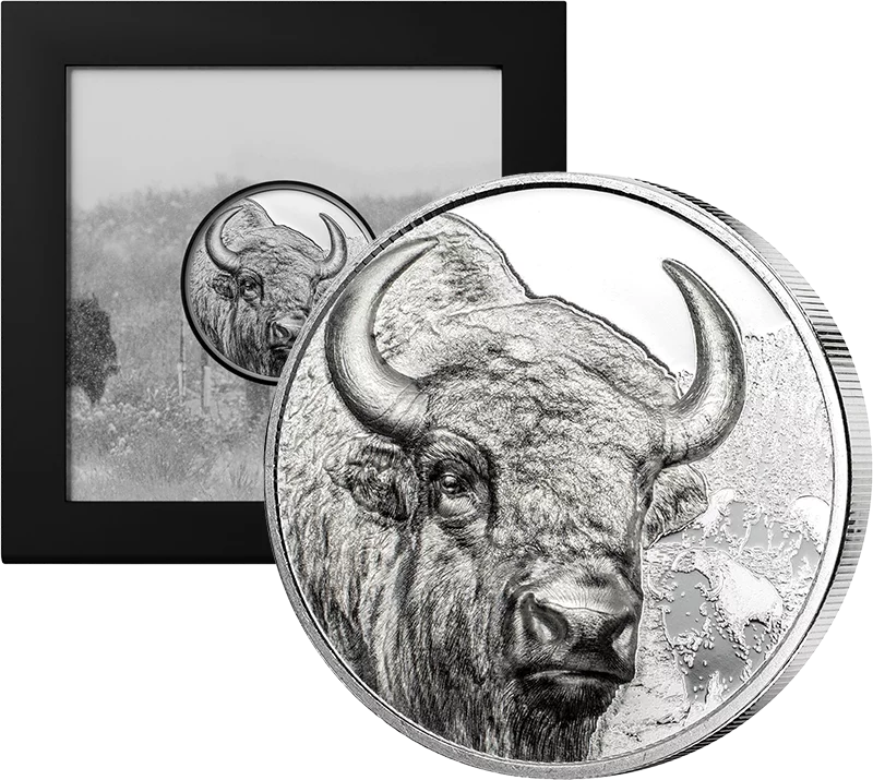 500 Togrog Mongolei Bison 2025 500 Togrog Mongolei Bison 2025