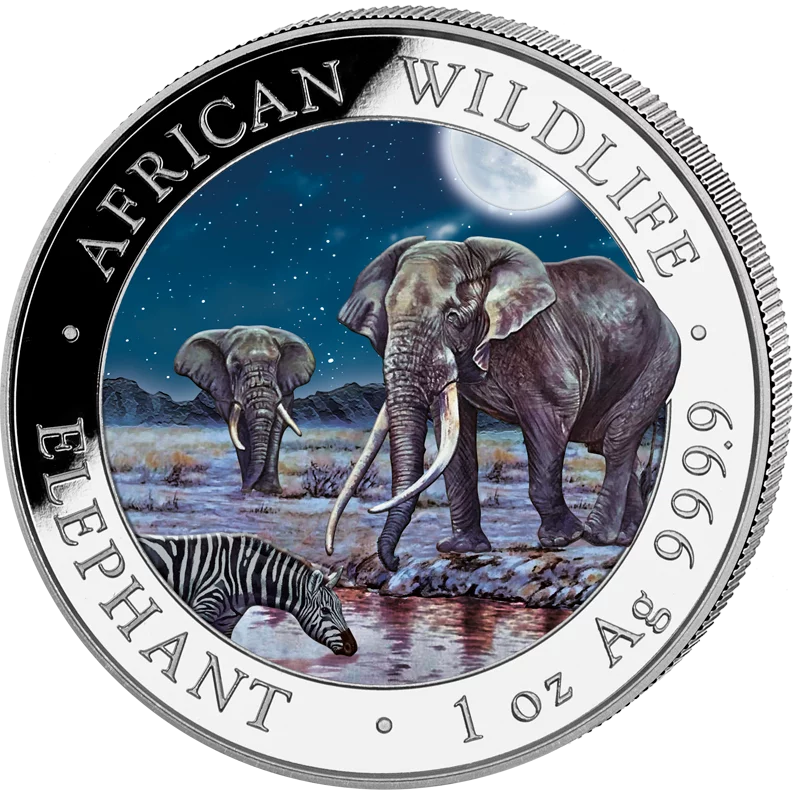 2 x 100 Shillings Somalia Elefant Day & Night 2026