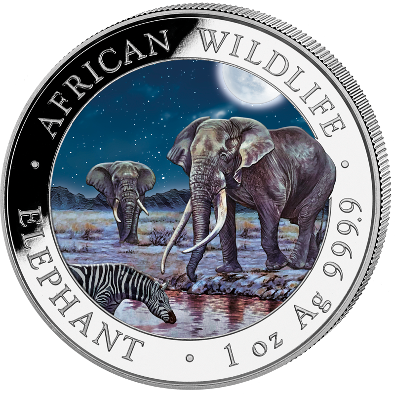 2 x 100 Shillings Somalia Elefant Day & Night 2026