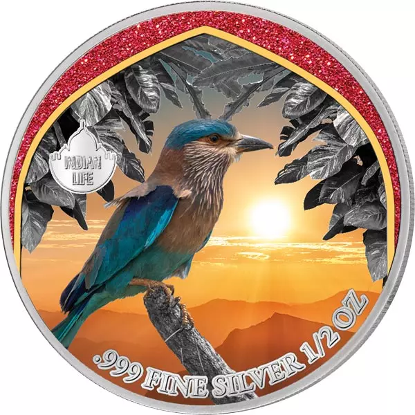500 Francs Kamerun Mysterious Rhodium Indian Life - Hinduracke 2024