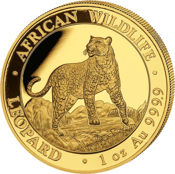 1 Unze Gold Somalia African Wildlife Leopard 2022