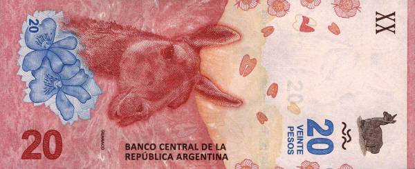 20 Pesos Banknote Argentinien Patagonische Steppe und Lama 2017