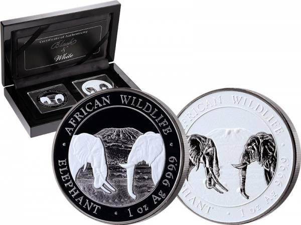 2 x 100 Shillings Somalia Schwarz-Weiß-Set Elefant 2020