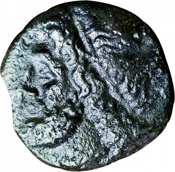 Kleinbronze Sizilien König Hieron II 275-216v.Ch.  s-ss