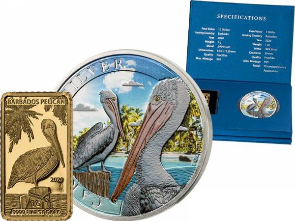 1 + 10 Dollars Barbados Tropical Pelikan 2020